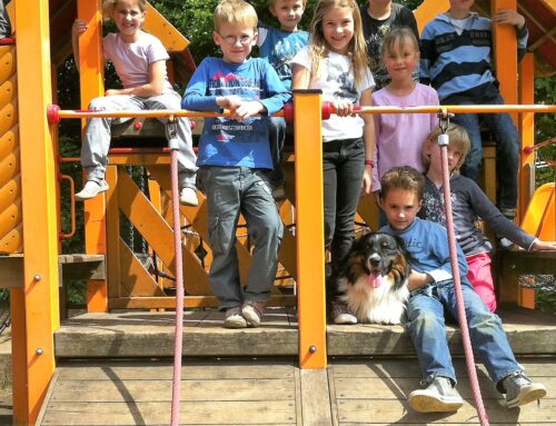Unsere nächste  Ausbildung Tiergestützte Intervention in Schulen und Kita als Kompaktkurs in den Sommerferien Die Ausbildung findet in Mettmann statt.