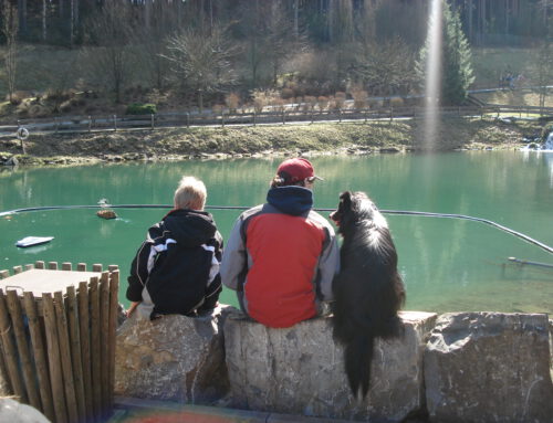 Abendvortrag                             Therapie-,Schul-oder Kindergartenhund – Ausbildung für Mensch und Hund” am 26.01.2026