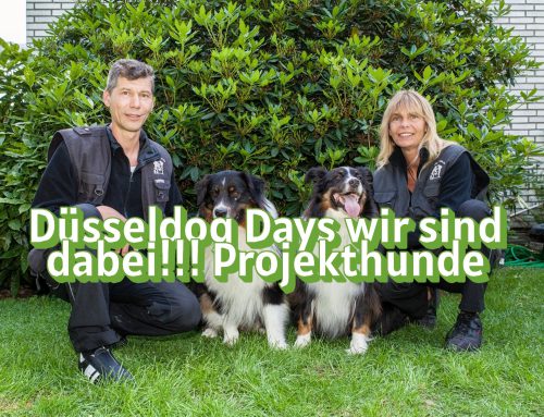 🐾 Wir sind dabei: Besucht uns auf den DüsselDog Days 2026!